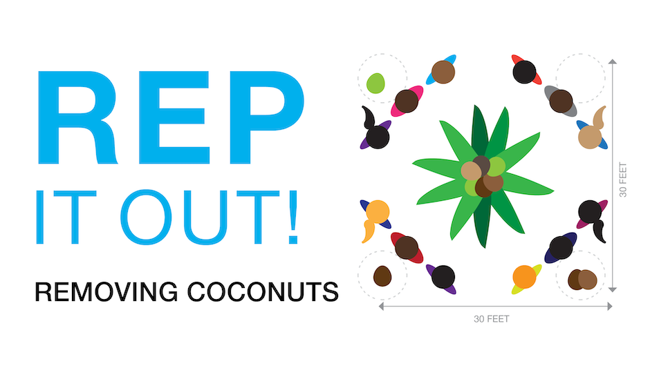 REP Game: Removing Coconuts