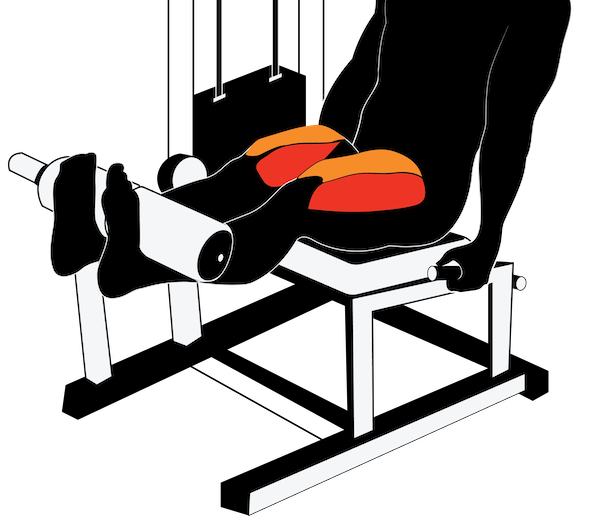 The Lying Hamstring Curl: A Complete Guide